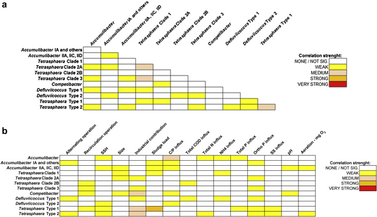 Cover - Population dynamics of bacteria involved in enhanced biological phosphorus removal in Danish wastewater treatment plants